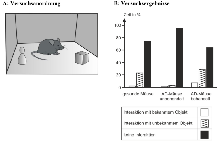 Versuchskäfig mit Maus und zwei Objekten; Balkendiagramm zeigt Interaktionen gesunder, unbehandelter und behandelter AD‑Mäuse.